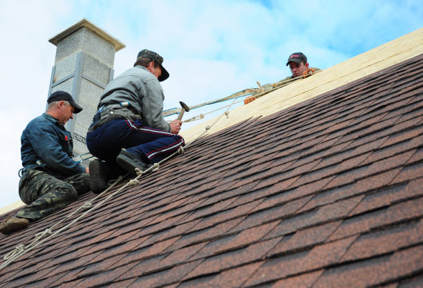 Best Storm Damage Roof Repair  in Bull Shoals, AR